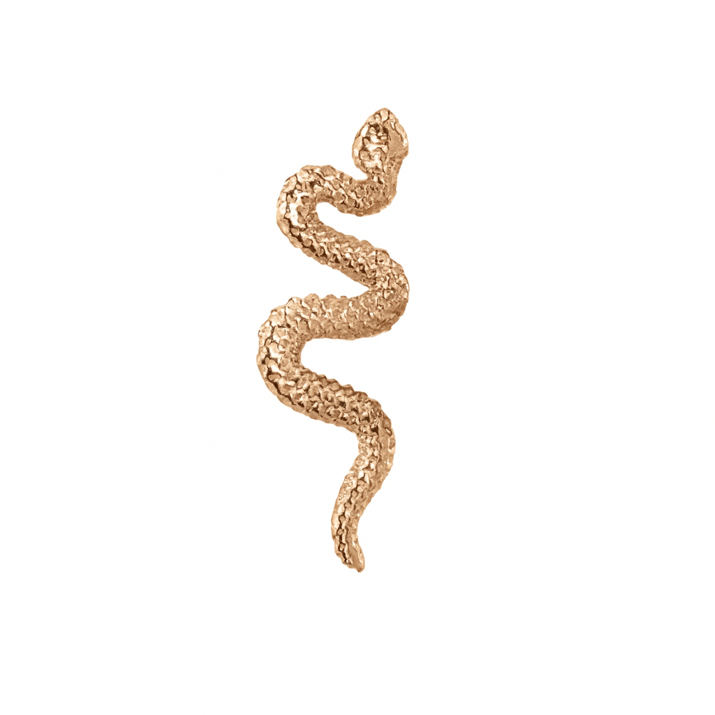 Delicate Snake