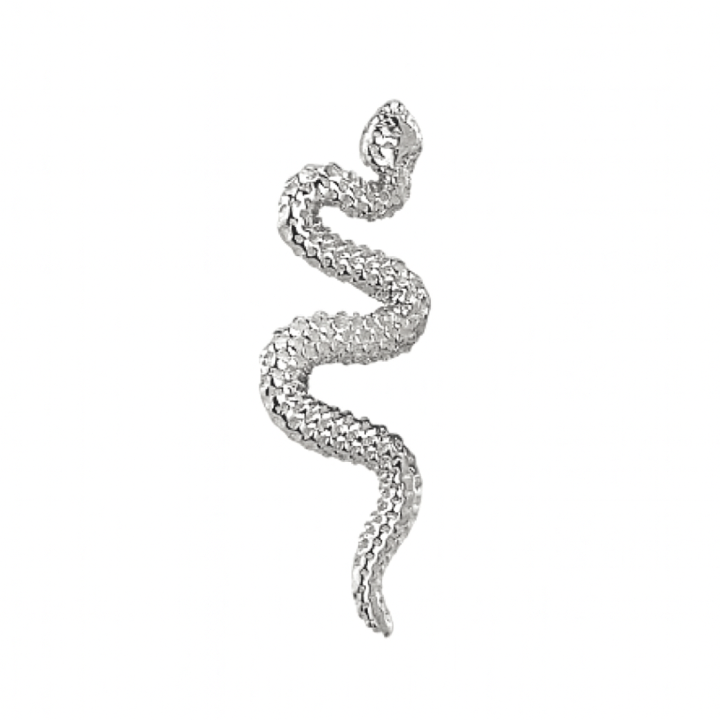 Delicate Snake