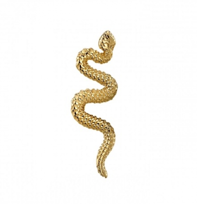 Delicate Snake