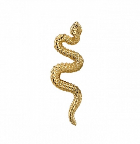 Delicate Snake